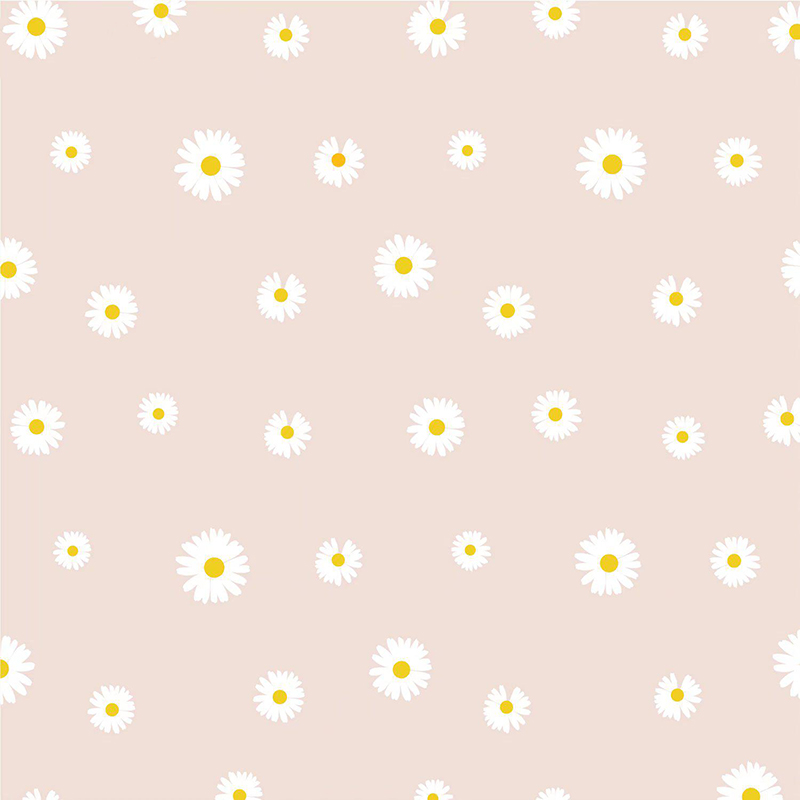 MYHC-18 Fresh Little Daisy Pearl Filmový balicí papír na květiny