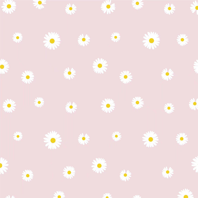 MYHC-18 Fresh Little Daisy Pearl Filmový balicí papír na květiny