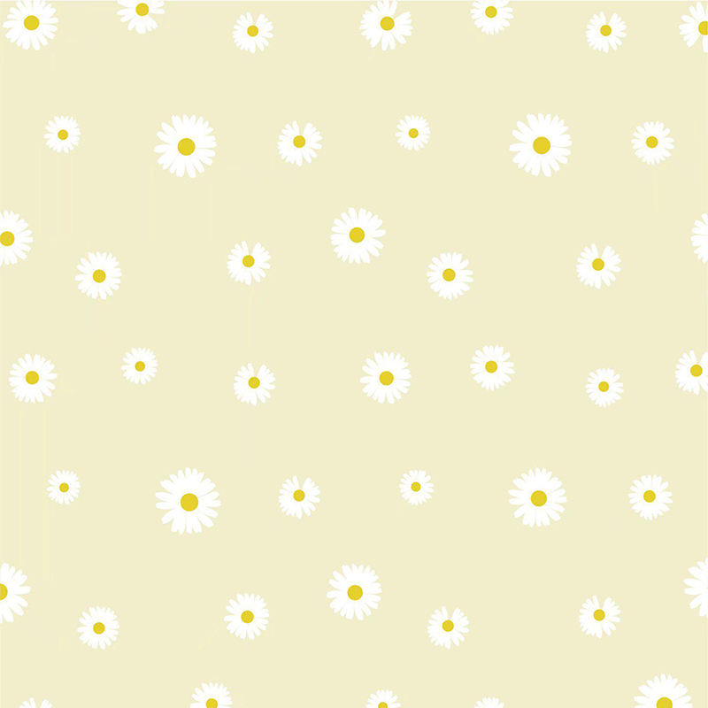 MYHC-18 Fresh Little Daisy Pearl Filmový balicí papír na květiny